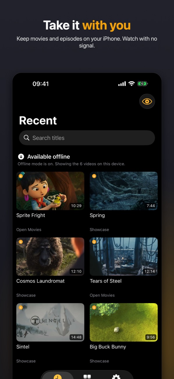 Offline mode on iPhone, showing the copies kept on the device